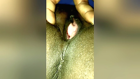 Indian hibhi porn video with a hairy pussy and a face